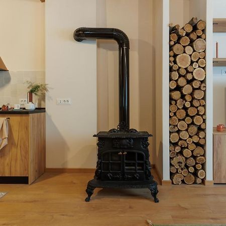 Roua Ludica Apartments Braşov Eksteriør billede