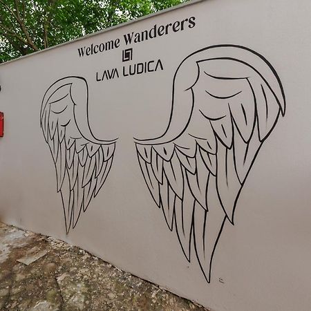 Roua Ludica Apartments Braşov Eksteriør billede