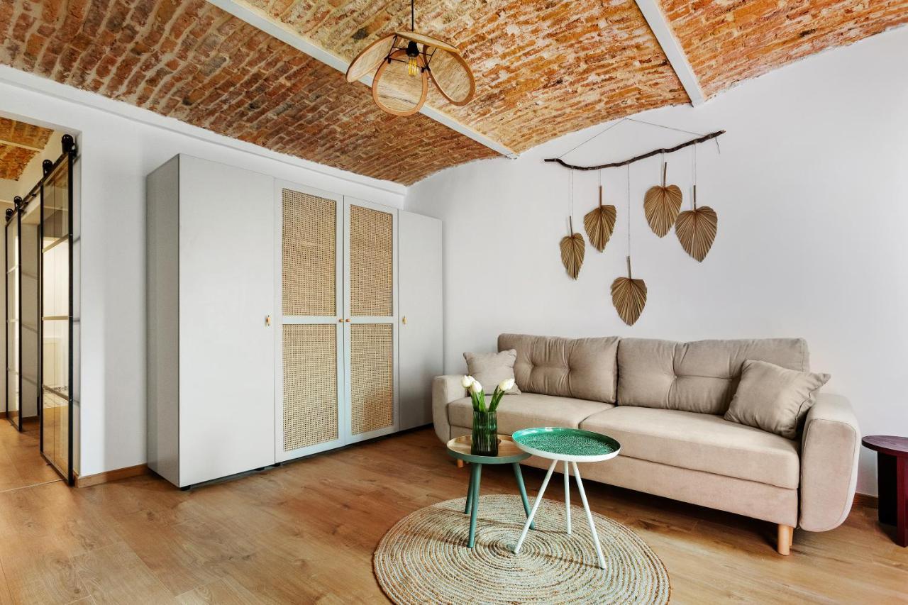 Roua Ludica Apartments Braşov Eksteriør billede