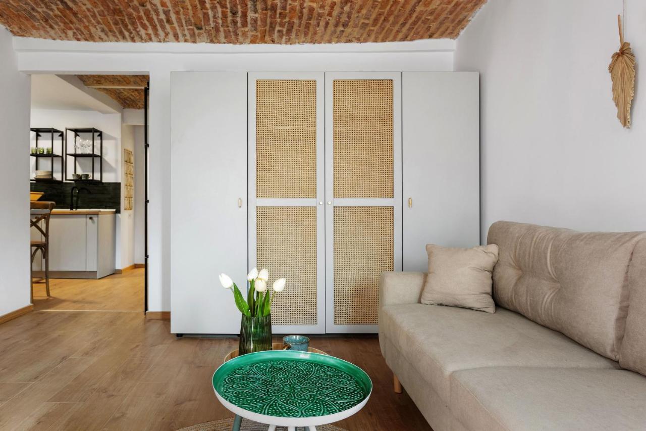 Roua Ludica Apartments Braşov Eksteriør billede