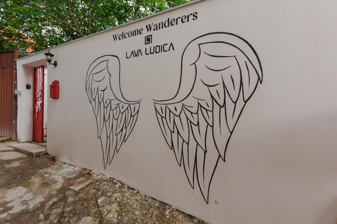 Roua Ludica Apartments Braşov Eksteriør billede